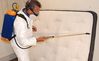 Five Essential Tips To Choose The Reliable Bed Bug Extermination Company In Toronto