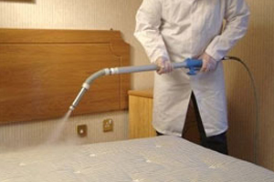 Don't Let The Bed Bugs Infest Your Home