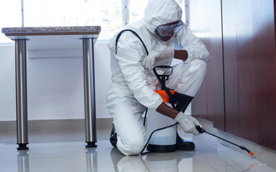 Why Bed Bugs Are Harder To Kill Without A Pest Control Professional?